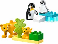 LEGO® DUPLO® 10442 Wildtier-Familien: Pinguine und Löwen