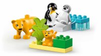 LEGO® DUPLO® 10442 Wildtier-Familien: Pinguine und Löwen
