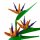 Mould King 10024 Birds of Paradise