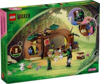 LEGO Wicked 75687 Elphabas Versteck