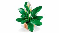 LEGO 11504 Friedenslilie