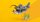 LEGO Creator 31381 Wilder Hai mit Schatztruhe