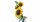 LEGO 11502 Sunflower Bouquet