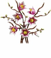 LEGO 11510 Magnolia Branches
