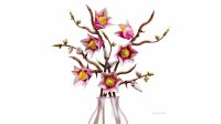 LEGO 11510 Magnolia Branches