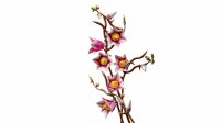 LEGO 11510 Magnolia Branches
