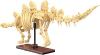 CaDA C59012W Stegosaurus