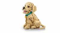 LEGO 11384 Golden Retriever Welpe