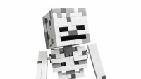 LEGO Minecraft 21594 Das Skelett