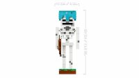 LEGO Minecraft 21594 Das Skelett