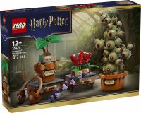 LEGO Harry Potter 76474 Schloss Hogwarts™:...
