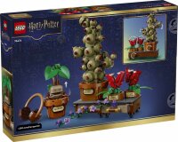 LEGO Harry Potter 76474 Schloss Hogwarts™:...