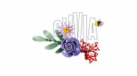 LEGO Botanicals 11507 Olivia Rodrigos Blumenstrauß