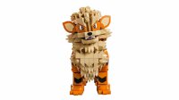 LEGO Pokémon 72160 Arkani