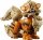 LEGO Pokémon 72160 Arkani